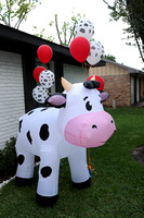Stevie James 2nd Bday 2025